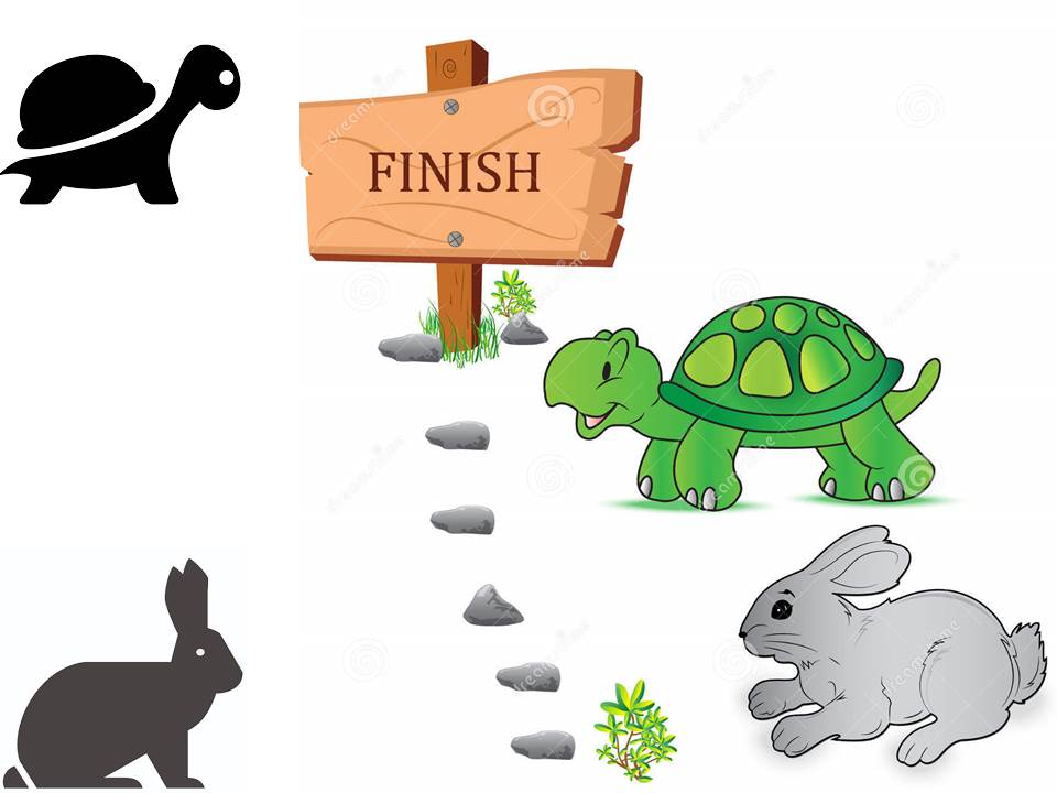 Will you back the Hare or Tortoise?